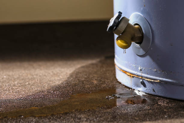 Best Mold removal after water damage  in Fairview, OK