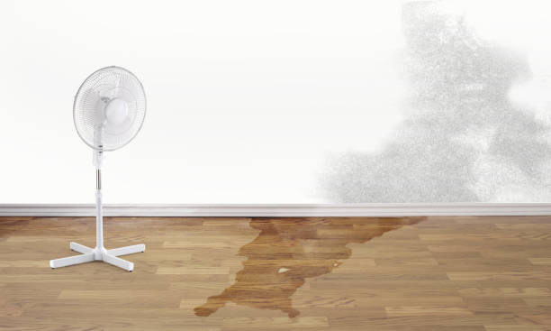 Best Commercial water damage restoration  in Fairview, OK