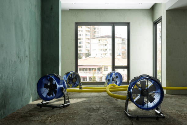 Best Ceiling water damage repair  in Fairview, OK